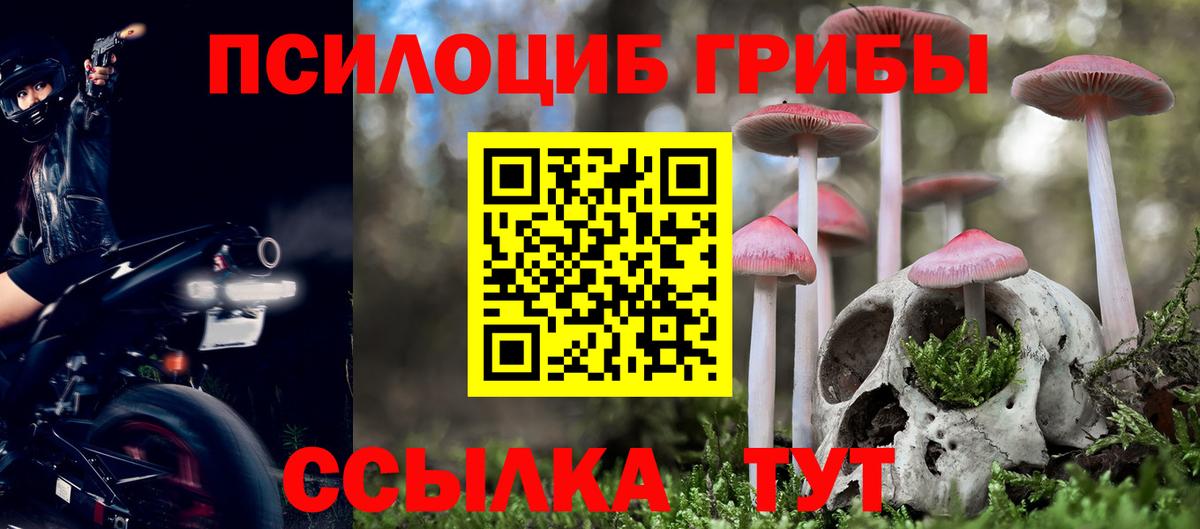 купить   Псилоцибиновые грибы GOLDEN TEACHER  Благовещенск  Вход с VPN  Псилоцибиновые грибы Psilocybine cubensis 